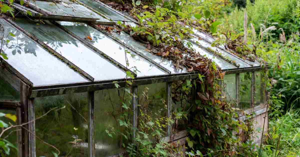 10 Greenhouse Myths Debunked