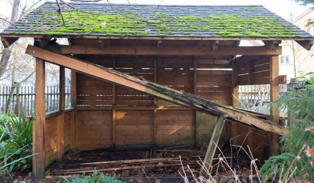 10 Pergola Maintenance Mistakes