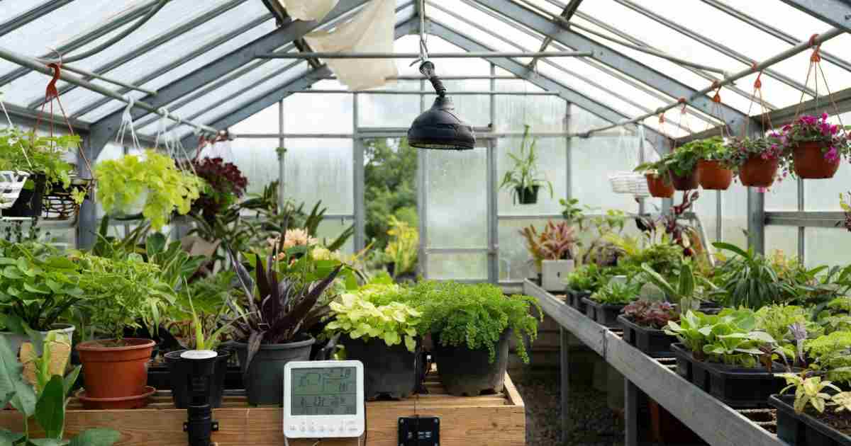 10 Problems Smart Greenhouses Face In Extreme Weather