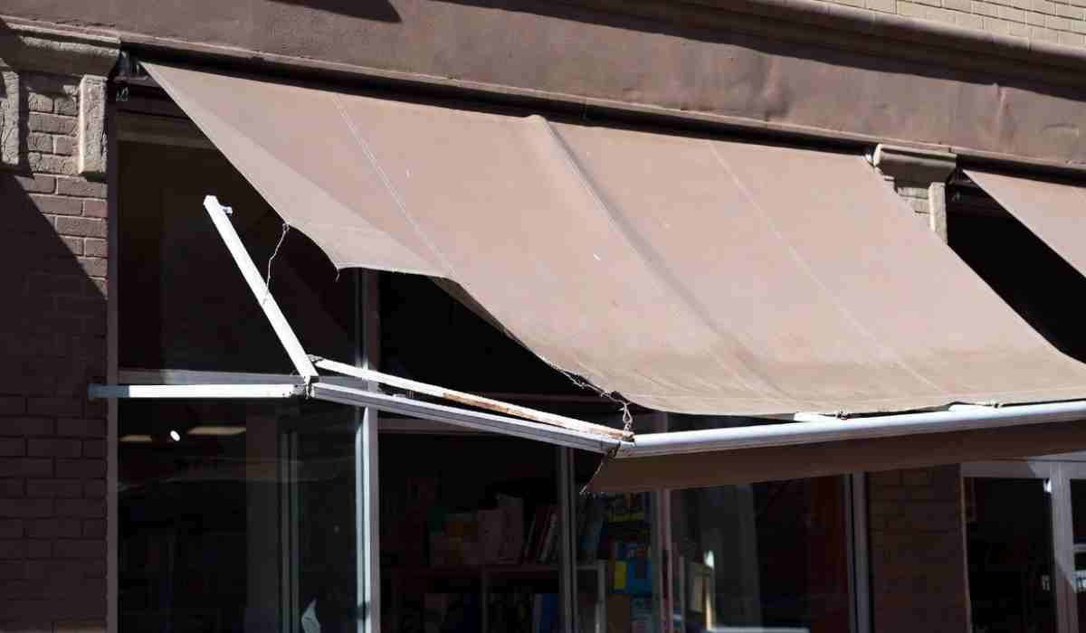 5 Signs Your Pergola Needs Repair