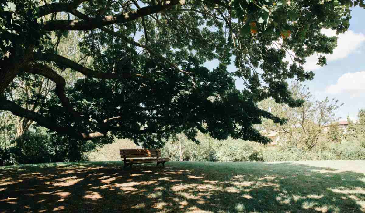 6 Factors That Reduce Shade Effectiveness