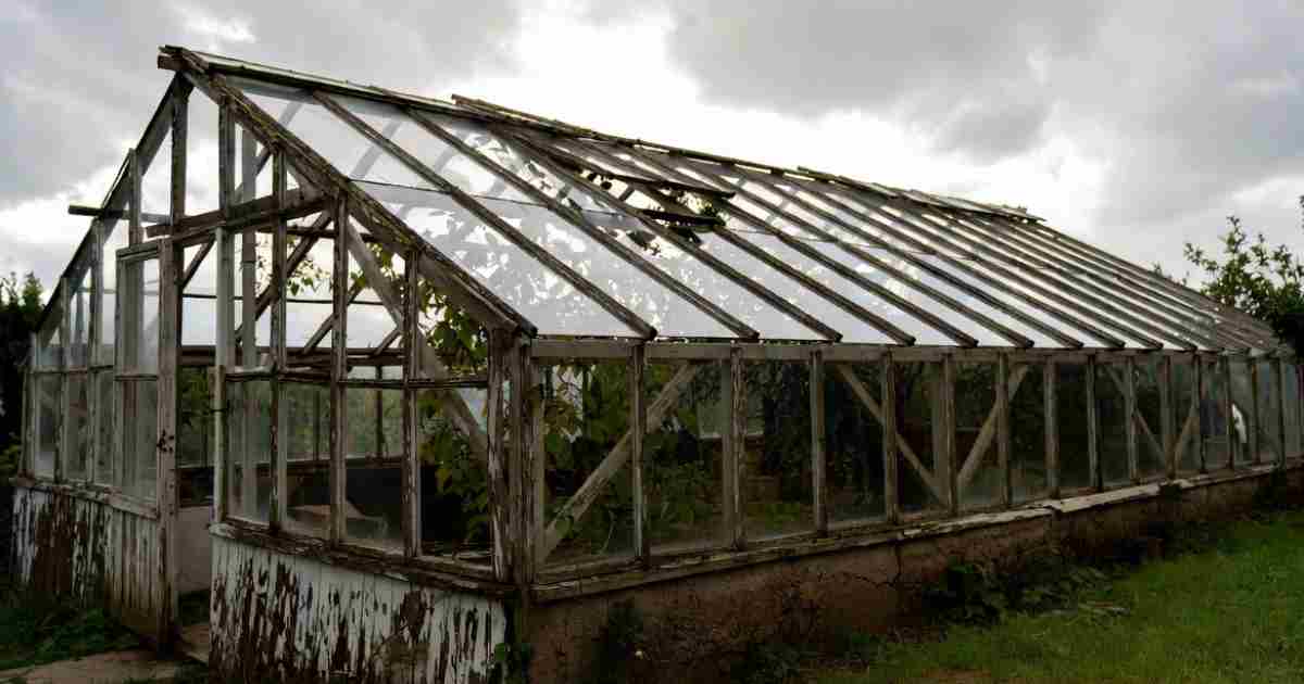 7 Automation Errors In Smart Greenhouses
