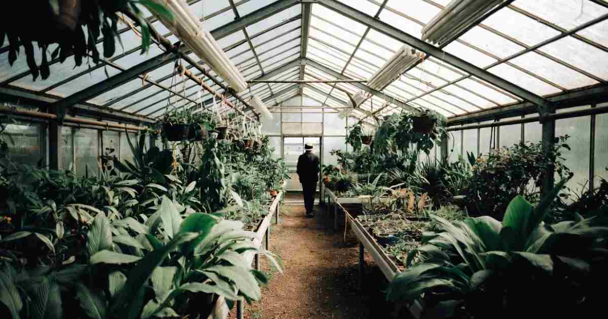 7 Causes Of Temperature Reading Problems