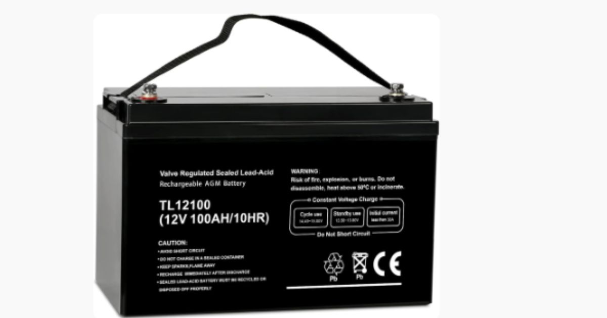 Weize Deep Cycle AGM 12V 100Ah Battery