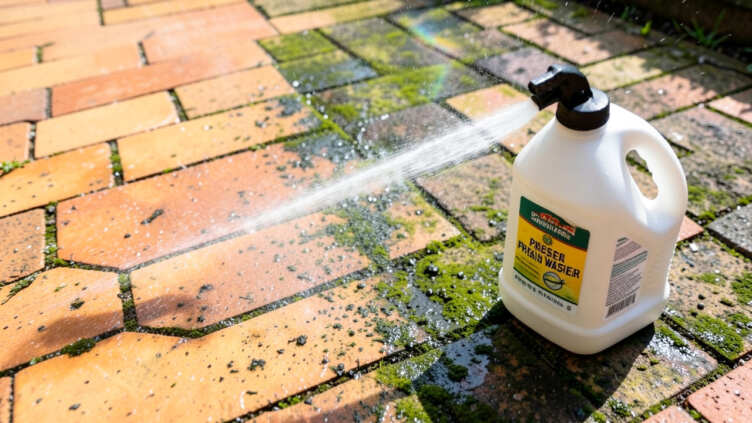 Cleaning Without Detergent (When You Need It)