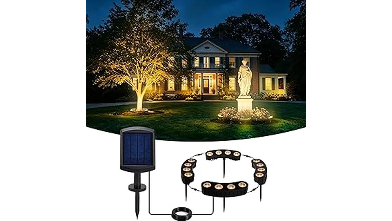 Most Popular 6 Best Landscape Lights for Trees and Architect
